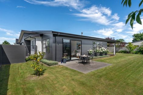 Photo of property in 19 Plains Avenue, Masterton, 5810