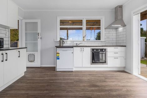 Photo of property in 8 Middlesex Street, Levin, 5510