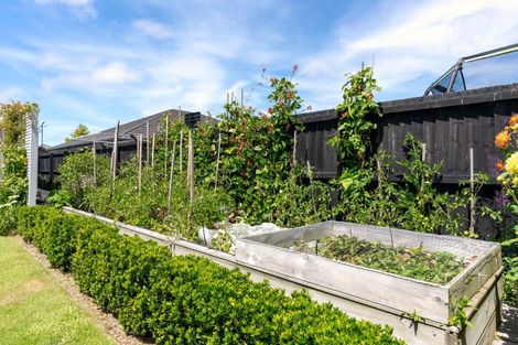 Photo of property in 12 Alexandrina Street, Marshland, Christchurch, 8083