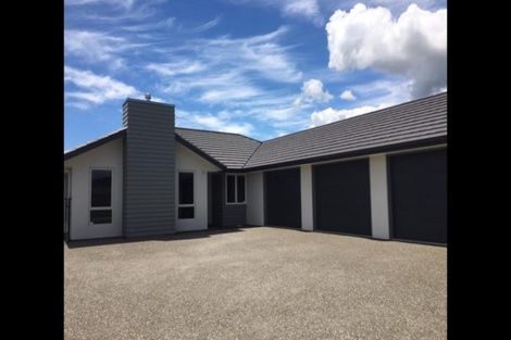 Photo of property in 19 Lassen Place, Stoke, Nelson, 7011