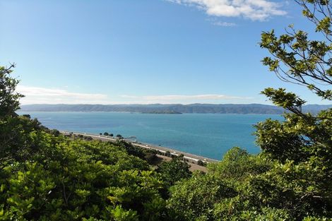 Photo of property in 22 Sovereign Point, Kaiwharawhara, Wellington, 6035