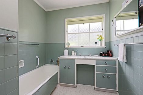 Photo of property in 3 Shortland Place, Havelock North, 4130