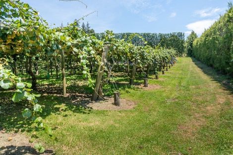 Photo of property in 42 Borell Road, Te Puna, Tauranga, 3174