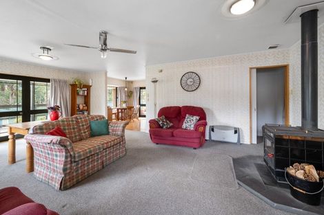 Photo of property in 21 Ballarat Avenue, Naseby, Ranfurly, 9396