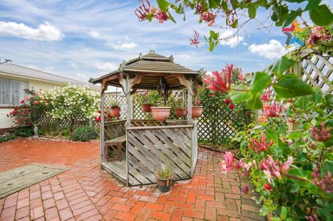 Photo of property in 49 Mauchline Street, Wallacetown, 9816