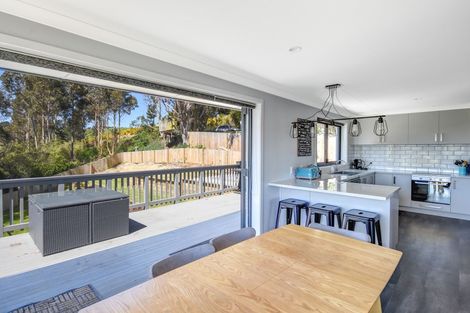 Photo of property in 16 Owen Street, Green Island, Dunedin, 9018