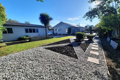 Photo of property in 38 Puriri Street, Riccarton, Christchurch, 8041