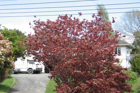 Photo of property in 30 Tosswill Road, Tahunanui, Nelson, 7011