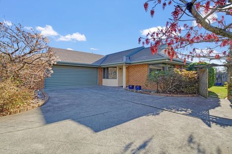Photo of property in 8 Idesia Grove, Richmond, 7020