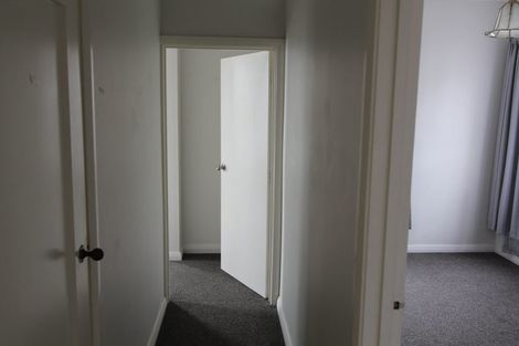 Photo of property in 14 Massey Avenue, Greenlane, Auckland, 1061