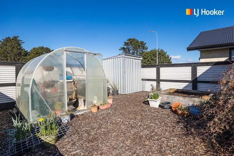 Photo of property in 248 Hillhead Road, Corstorphine, Dunedin, 9012