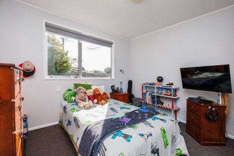 Photo of property in 147 Stanford Street North, Ashhurst, 4810