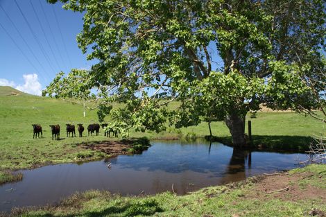Photo of property in 549 Whiriwhiri Road, Otaua, Waiuku, 2682