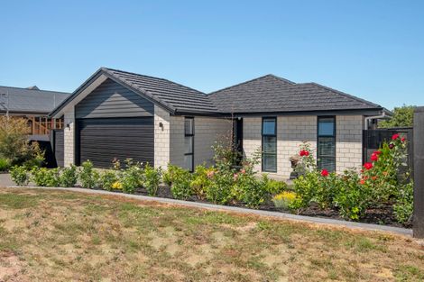 Photo of property in 4 Mary Place, Pyes Pa, Tauranga, 3112