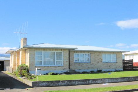 Photo of property in 26 Ferguson Street, Levin, 5510