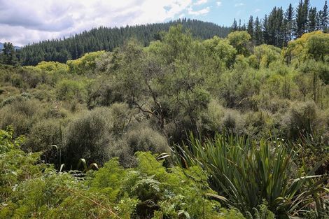 Photo of property in 538 Waiwhero Road, Ngatimoti, Upper Moutere, 7175