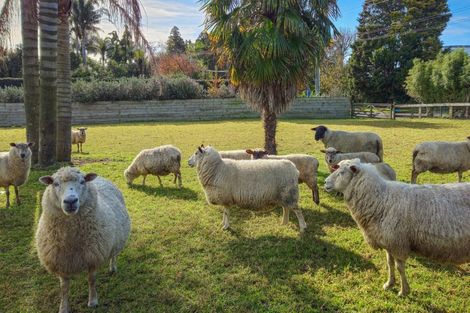 Photo of property in 249 Plummers Point Road, Whakamarama, Tauranga, 3172