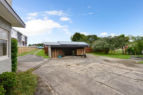 Photo of property in 43 Fifth Avenue, Enderley, Hamilton, 3214