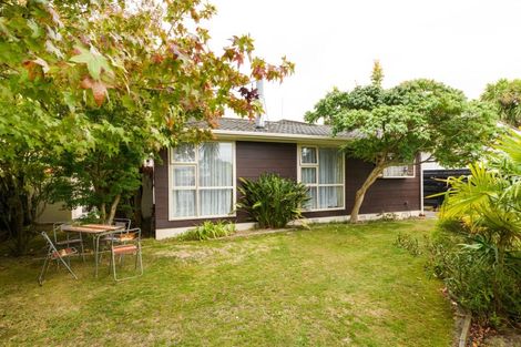 Photo of property in 50 Pitama Road, Awapuni, Palmerston North, 4412