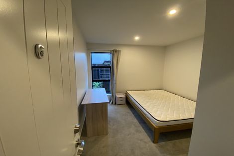 Photo of property in 53 Anaru Road, Lincoln, 7608