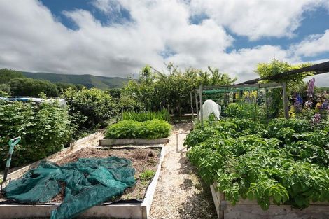 Photo of property in 19 Eric Batchelor Place, Waimate, 7924