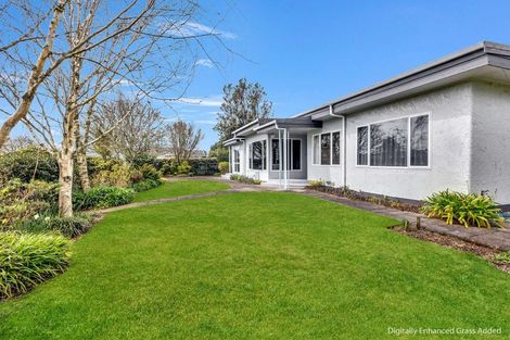 Photo of property in 35 Seyton Street, Stratford, 4332