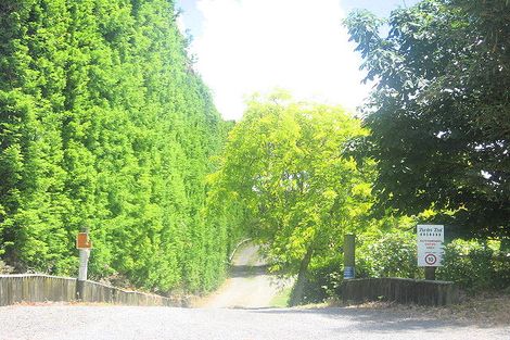 Photo of property in 806a No 1 Road, Te Puke, 3182