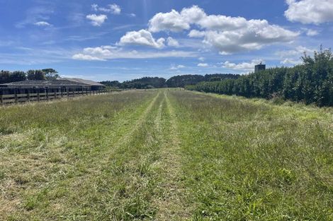 Photo of property in 187 Smart Road, Hillsborough, New Plymouth, 4372