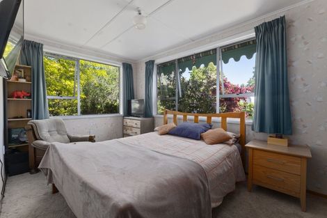 Photo of property in 12 Wicklow Street, Cromwell, 9310