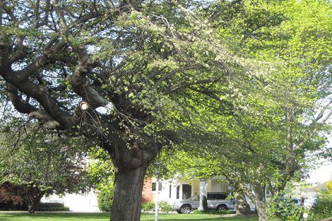 Photo of property in 72 Murphys Road, Springlands, Blenheim, 7201