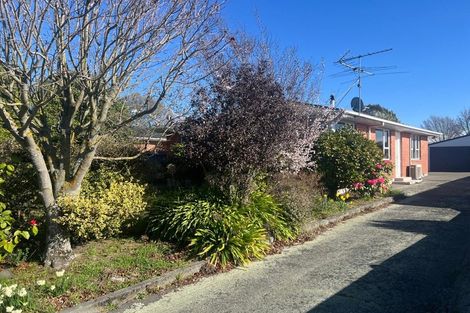 Photo of property in 5 Bird Street, Hampstead, Ashburton, 7700