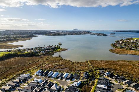 Photo of property in 43 Hinaki Street, Poike, Tauranga, 3112