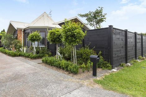 Photo of property in 47b Vogel Street, Cambridge, 3434