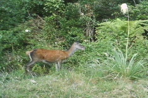 Photo of property in 1258 Akatarawa Road, Akatarawa, Upper Hutt, 5372