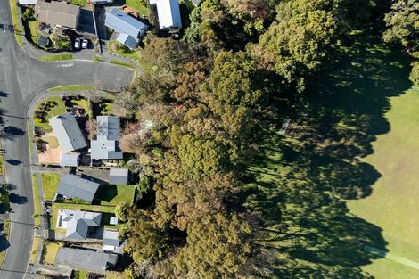 Photo of property in 21 Fitzroy Avenue, Fitzroy, Hamilton, 3206