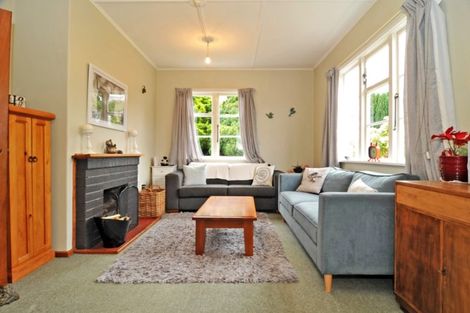 Photo of property in 46 Panmure Avenue, Calton Hill, Dunedin, 9012