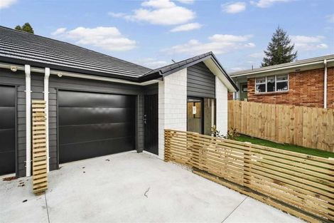 Photo of property in 30a Thomson Avenue, Dinsdale, Hamilton, 3204