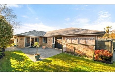 Photo of property in 13 Selwyn Street, Somerfield, Christchurch, 8024