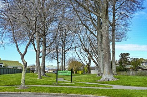 Photo of property in 8 Palmer Place, Parkvale, Hastings, 4122