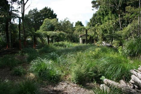 Photo of property in 747 Scenic Drive, Henderson Valley, Auckland, 0612