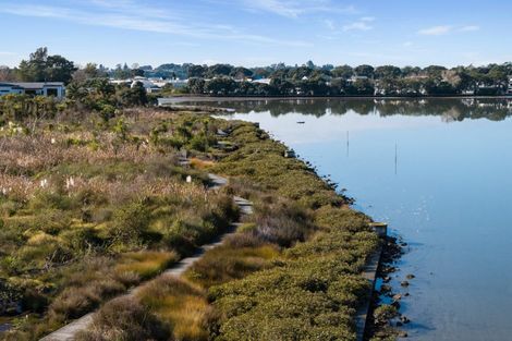 Photo of property in 41 Scantlebury Street, Tauranga South, Tauranga, 3112