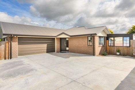 Photo of property in 20a Keith Elliott Street, Feilding, 4702