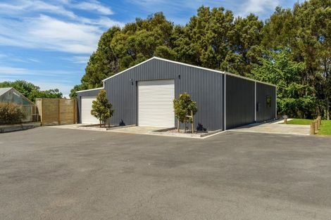 Photo of property in 196 Pahoia Road, Whakamarama, Tauranga, 3172