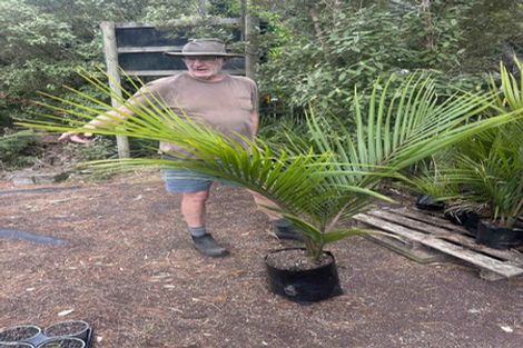 Photo of property in 200 Tawa Road, Kumeu, 0891