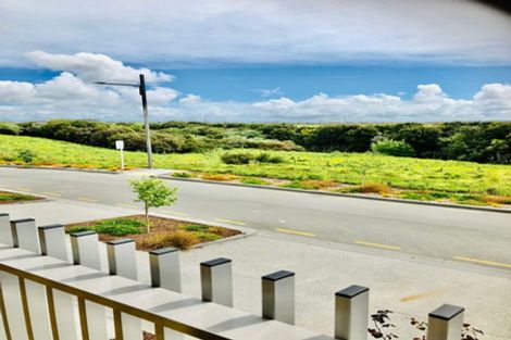 Photo of property in 29 Bonnette Road, Flat Bush, Auckland, 2019