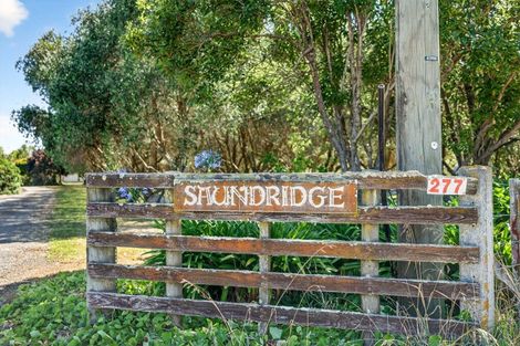 Photo of property in 277 Upper Plain Road, Upper Plain, Masterton, 5888