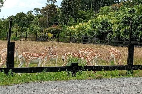 Photo of property in 288 Oropi Gorge Road, Oropi, Tauranga, 3173