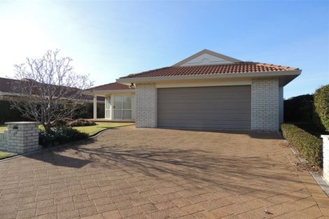 Photo of property in 19 Lotus Avenue, Mount Maunganui, 3116