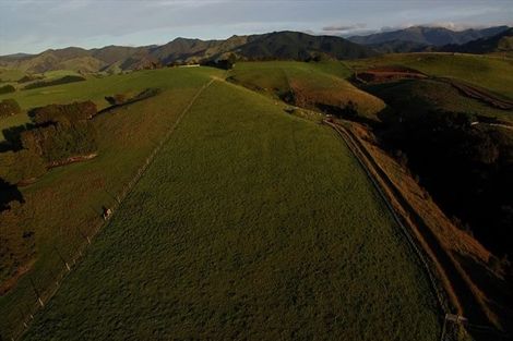 Photo of property in 91 Chester Park Drive, West Taratahi, Carterton, 5791