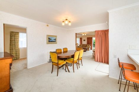 Photo of property in 41 Kentucky Way, Awapuni, Palmerston North, 4412